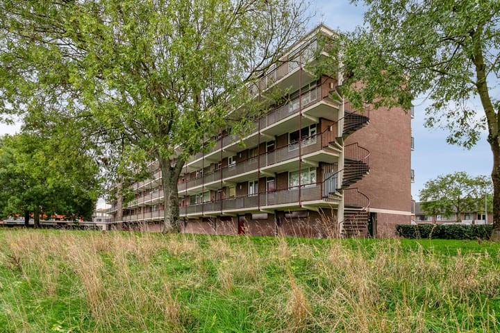 Foto 29 van Maassingel 384