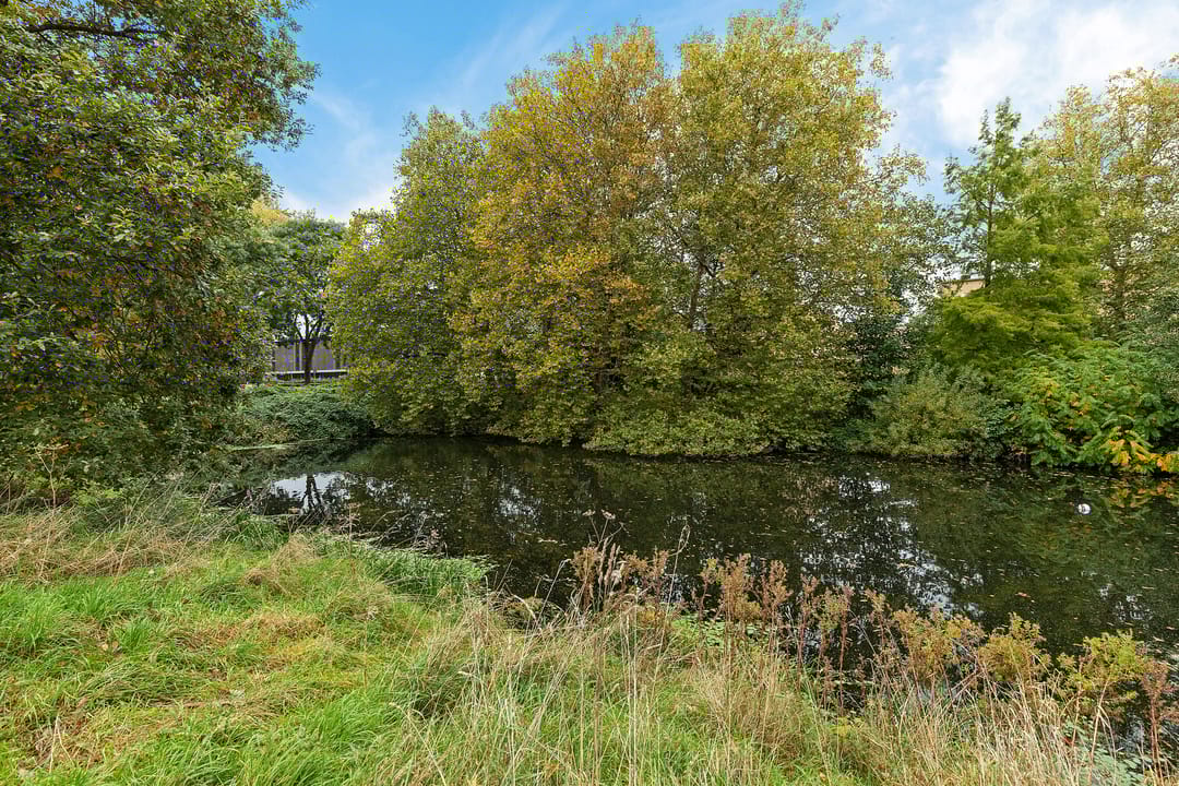 Foto 37 van Bachkade 4