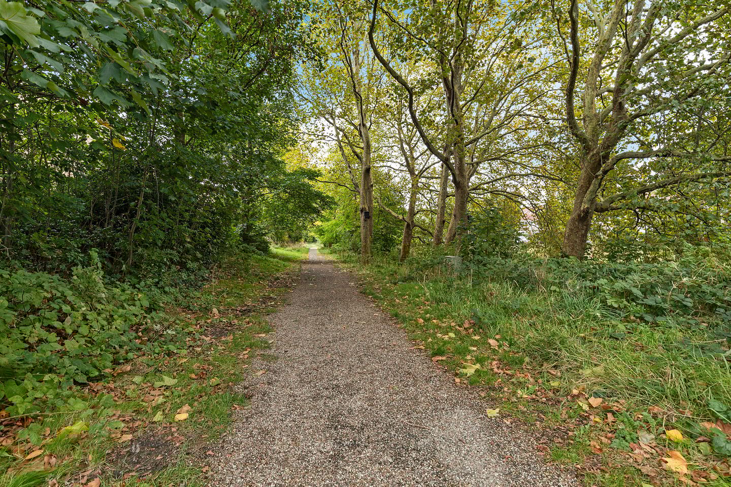 Foto 40 van Bachkade 4