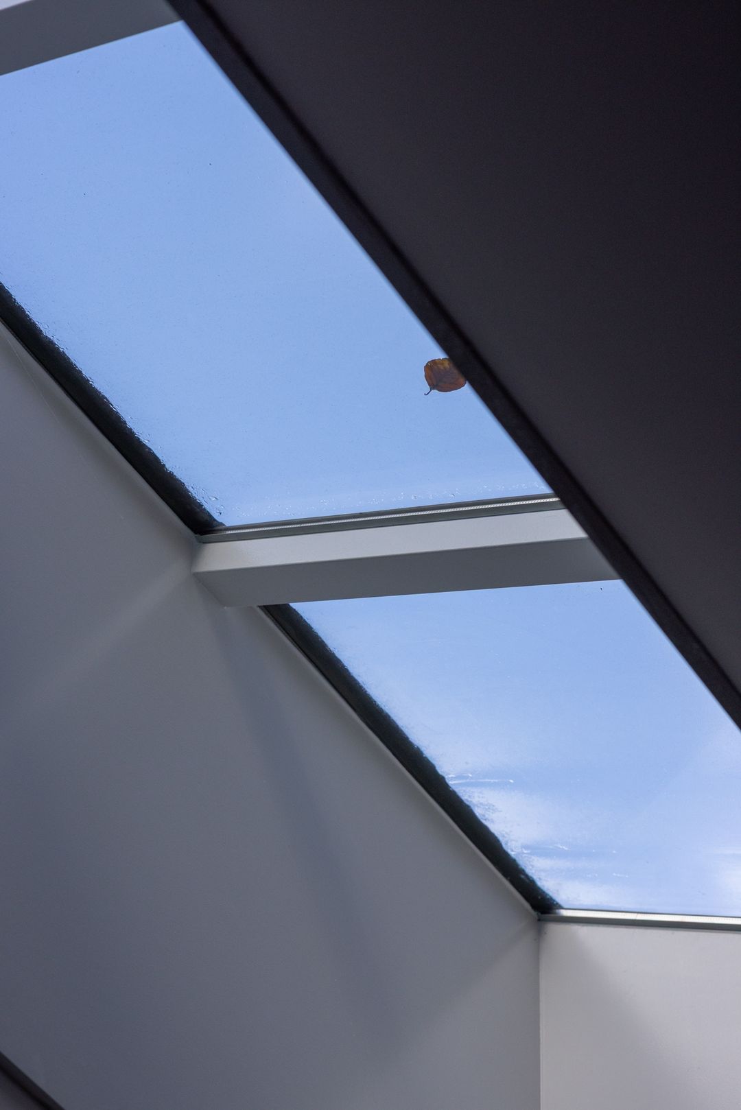 Foto 41 van Burgemeester Le Fèvre de Montignylaan 11