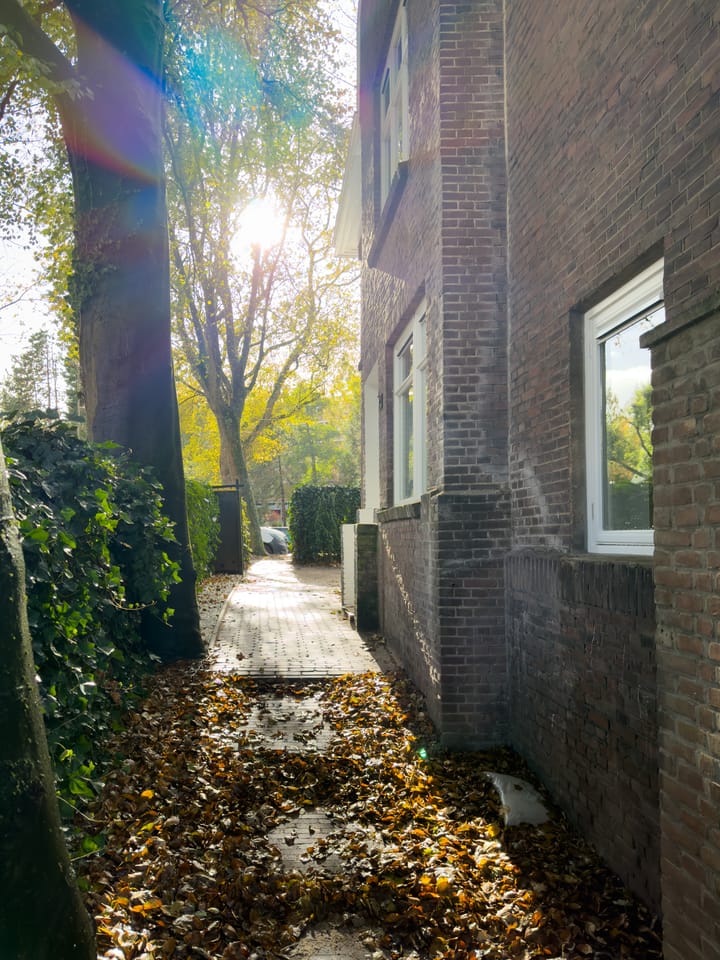 Photo 59 of Burgemeester Le Fèvre de Montignylaan 11