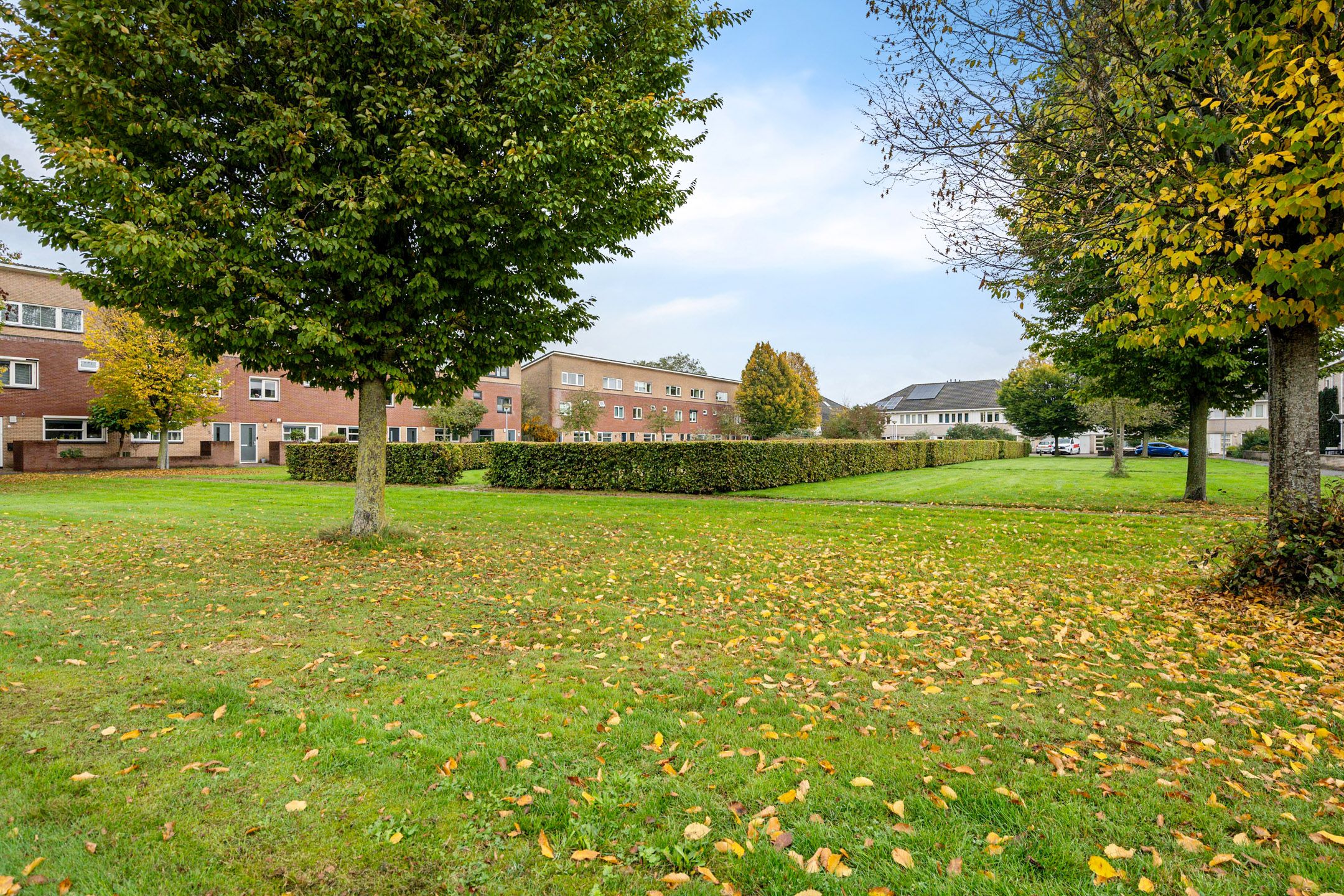 Foto 36 van Tijmstraat 43