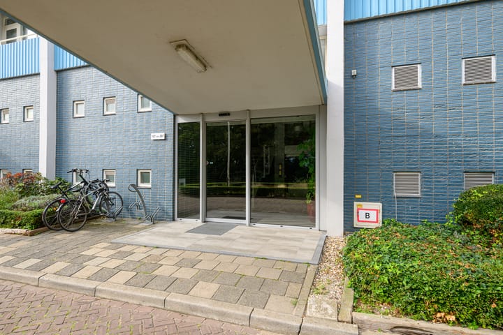 Photo 21 of Ericalaan 167