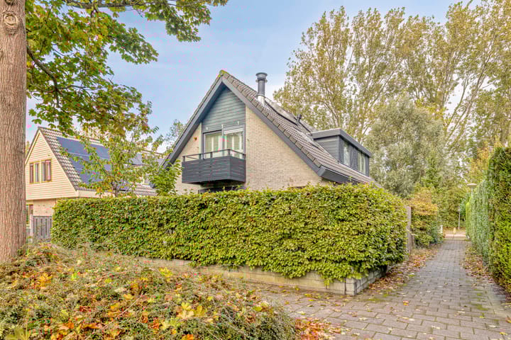 Foto 7 van Jacob Obrechtlaan 60