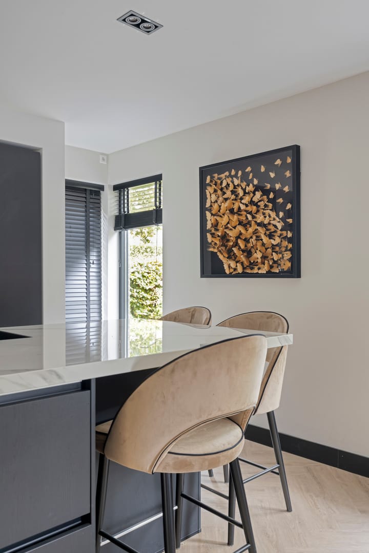 Foto 26 van Jacob Obrechtlaan 60