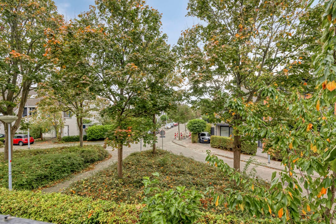 Foto 46 van Jacob Obrechtlaan 60