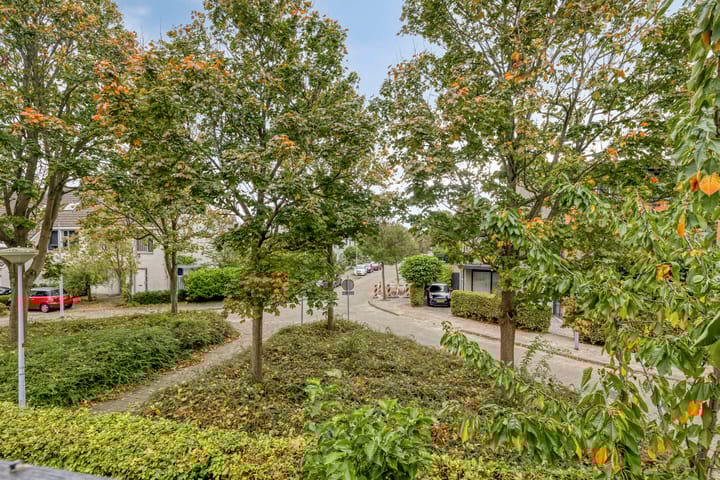 Foto 46 van Jacob Obrechtlaan 60