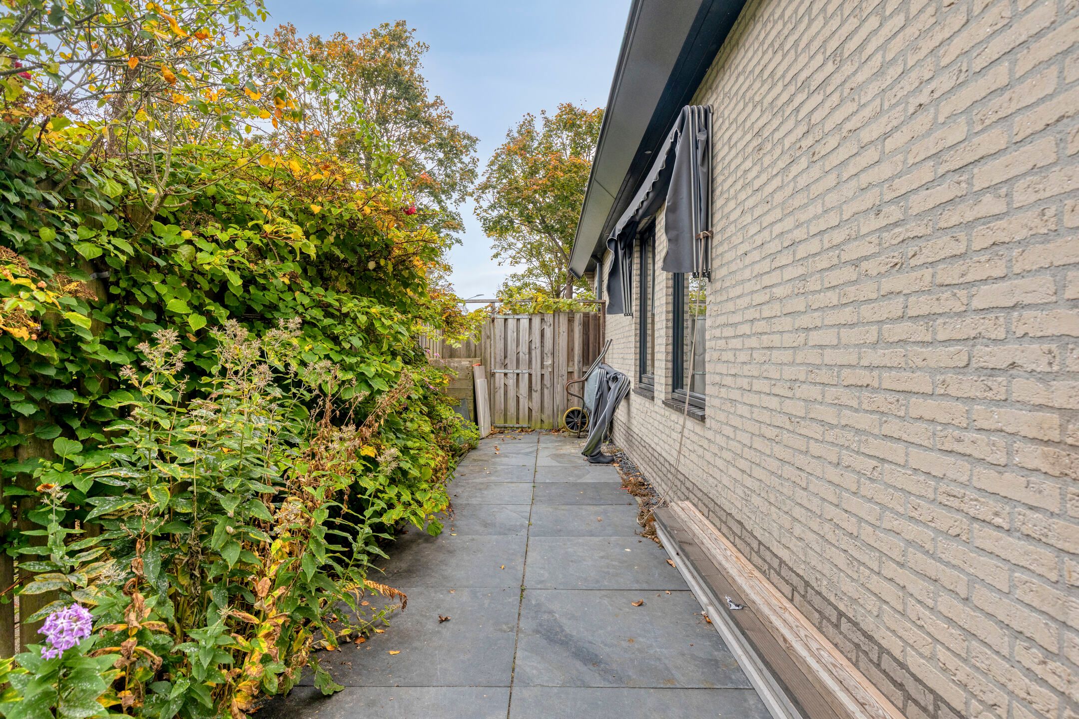 Foto 54 van Jacob Obrechtlaan 60