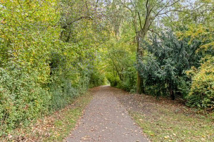 Foto 56 van Jacob Obrechtlaan 60