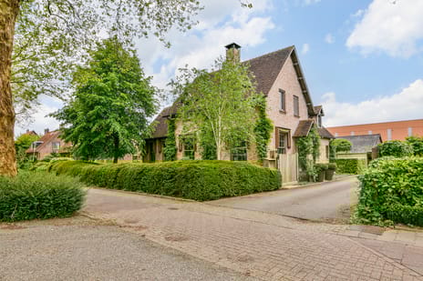 undefined main image