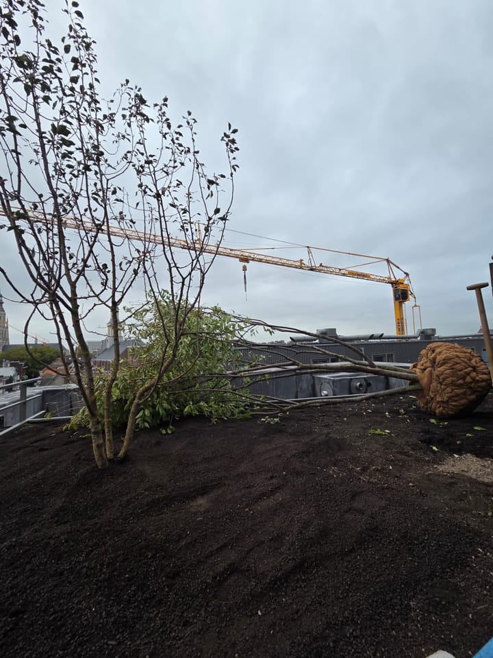 Foto 35 van Akkerstraat 95