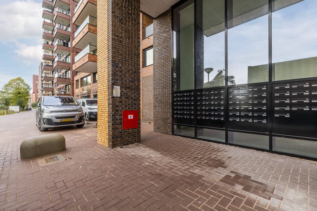 Foto 7 van Mahoniehout 441