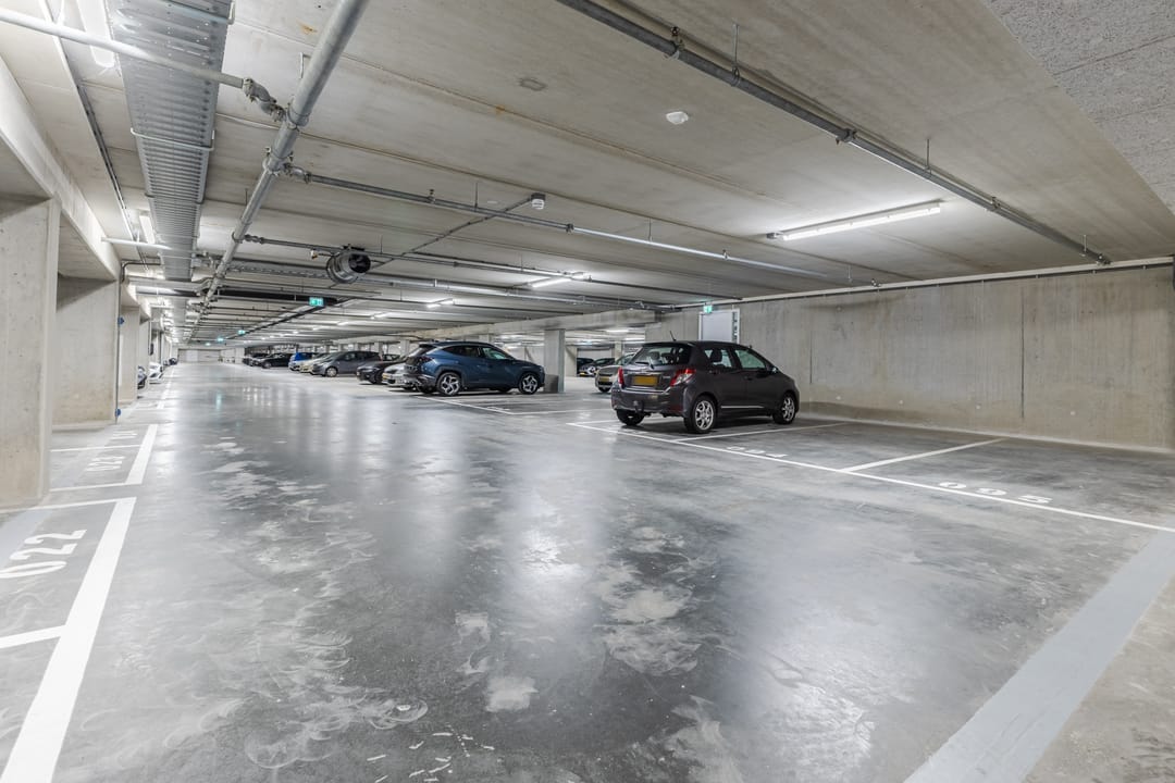 Foto 38 van Mahoniehout 441