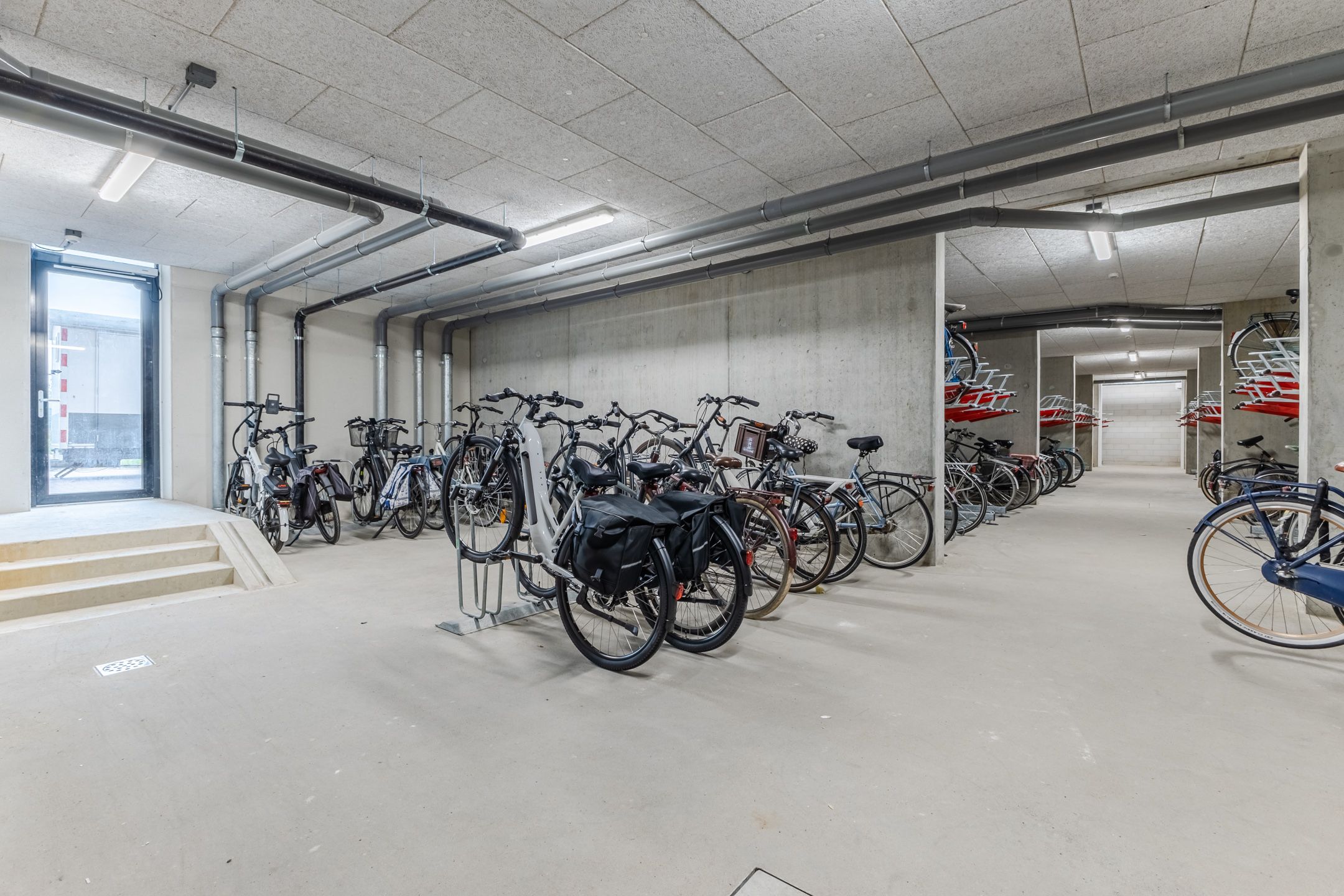 Foto 39 van Mahoniehout 441