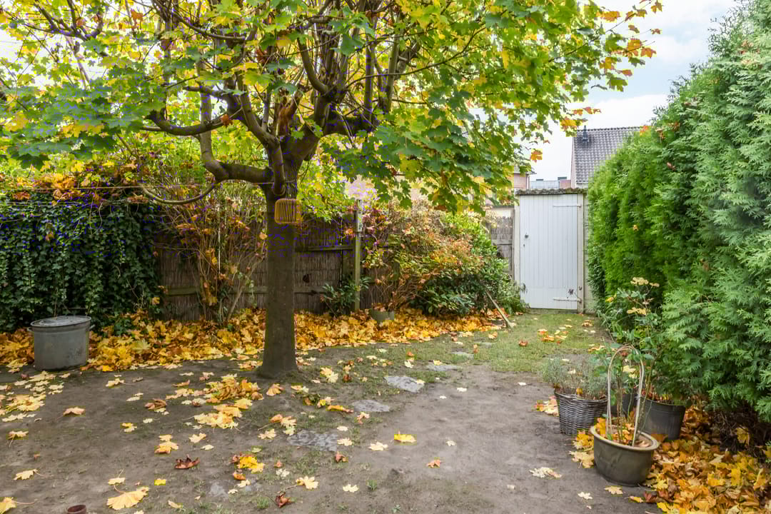 Foto 26 van Oranjestraat 60