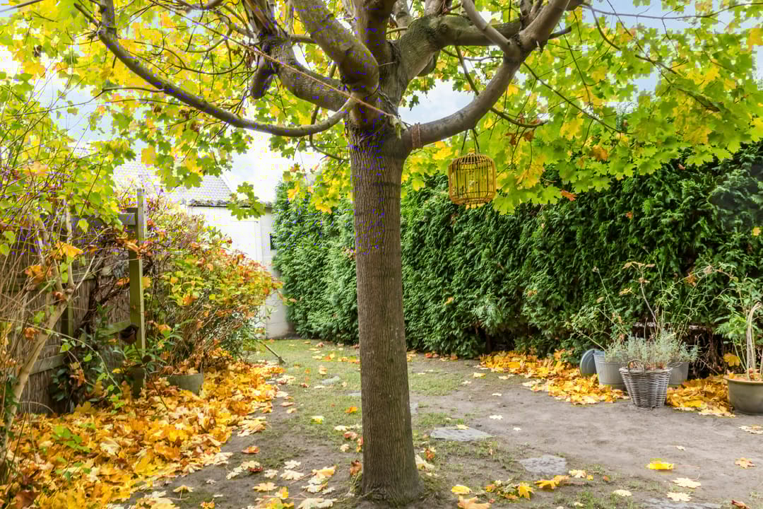 Foto 28 van Oranjestraat 60