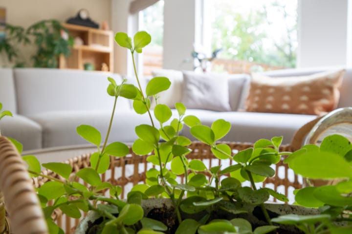 Foto 14 van Isebrandtsheerd 127