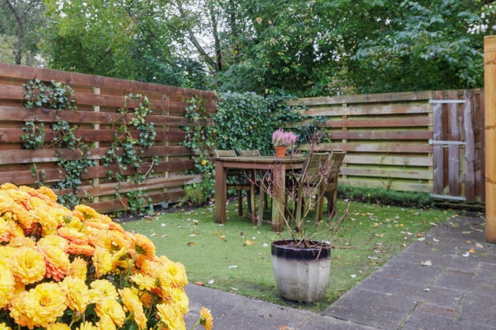 Foto 30 van Isebrandtsheerd 127