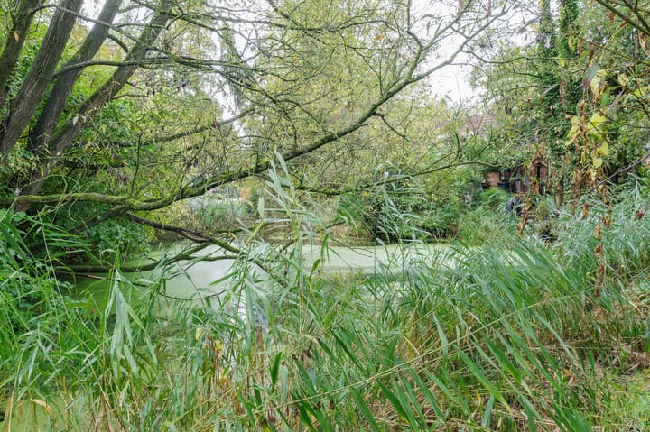 Foto 35 van Isebrandtsheerd 127