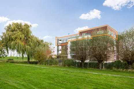 Maïsveld 40 secondary image