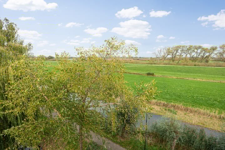 Foto 15 van Maïsveld 40