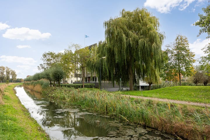 Foto 36 van Maïsveld 40