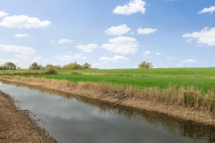 Foto 38 van Maïsveld 40