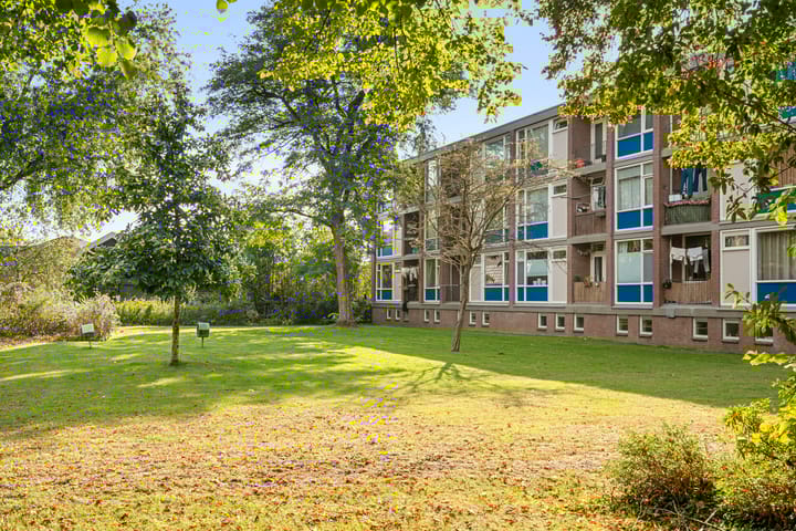 Foto 2 van De Zoom 36