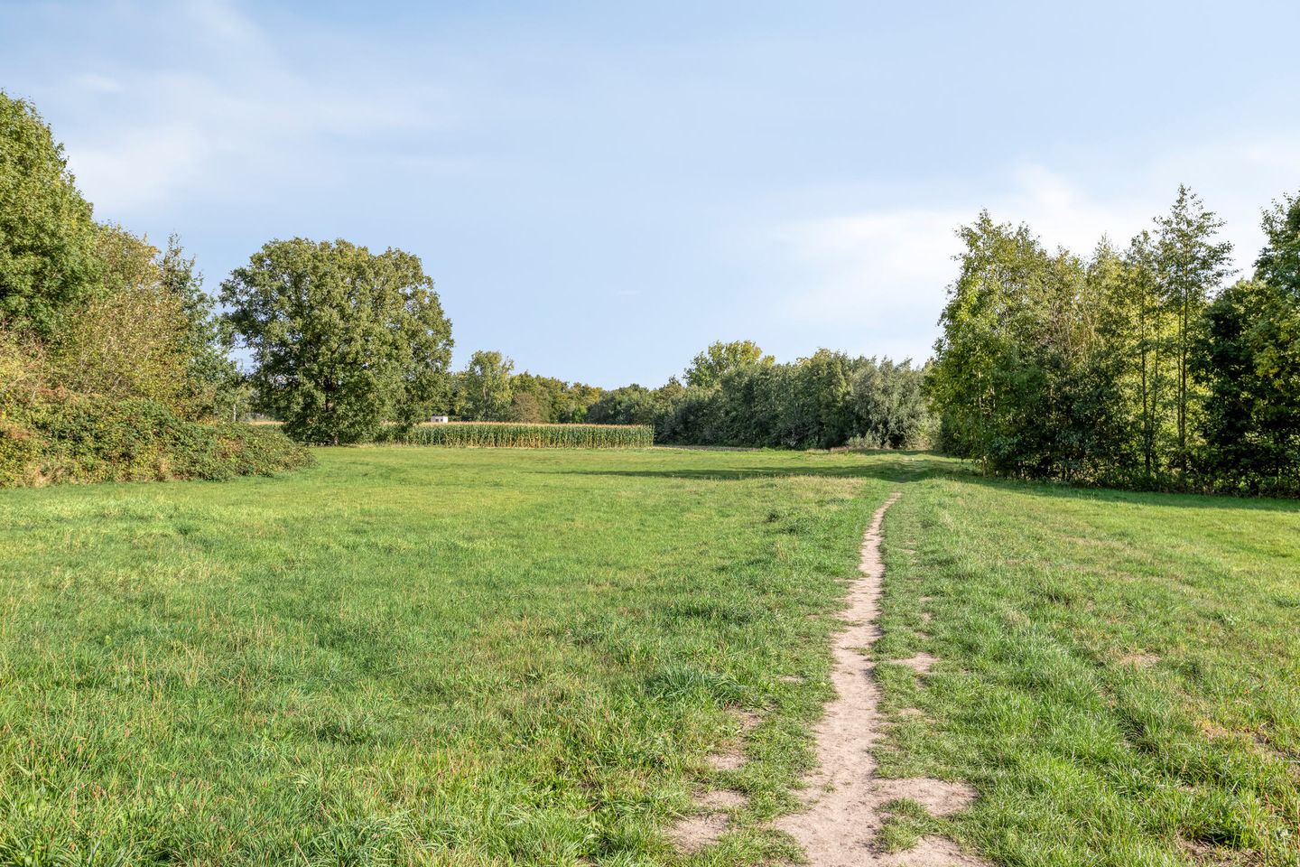 Foto 29 van Lijsterbeslaan 96