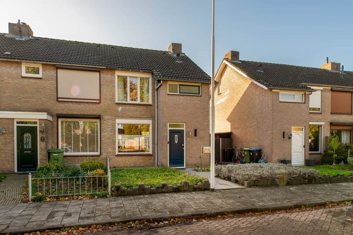 Foto 41 van Paus Joanneslaan 30