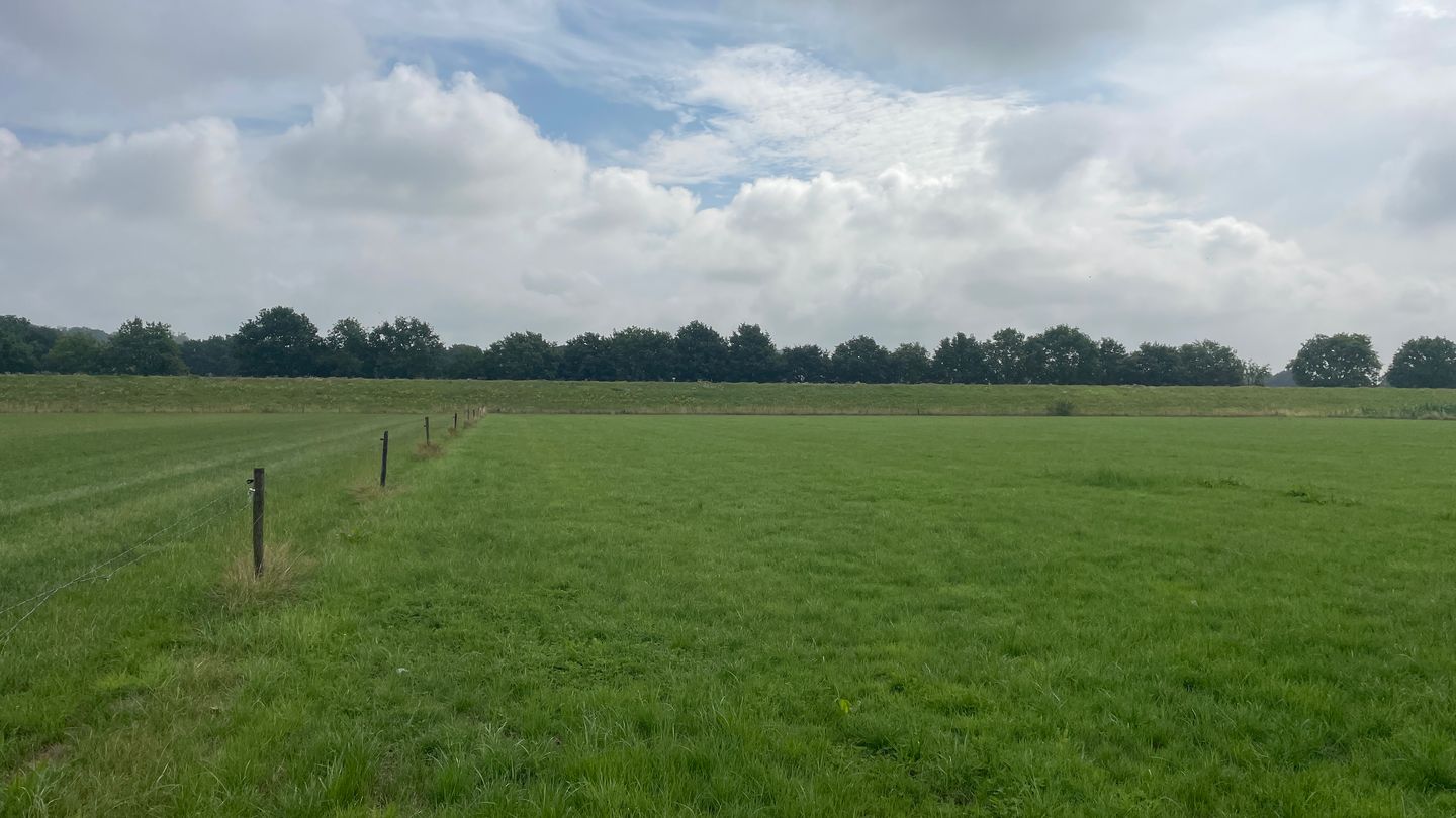 View photo 4 of Munnekenweg