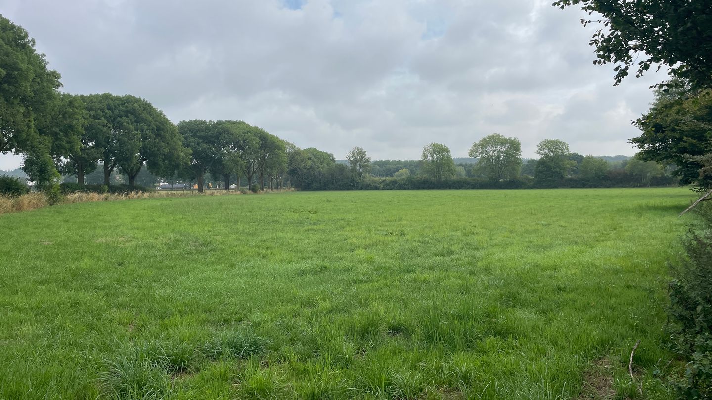 View photo 2 of Cuijksesteeg