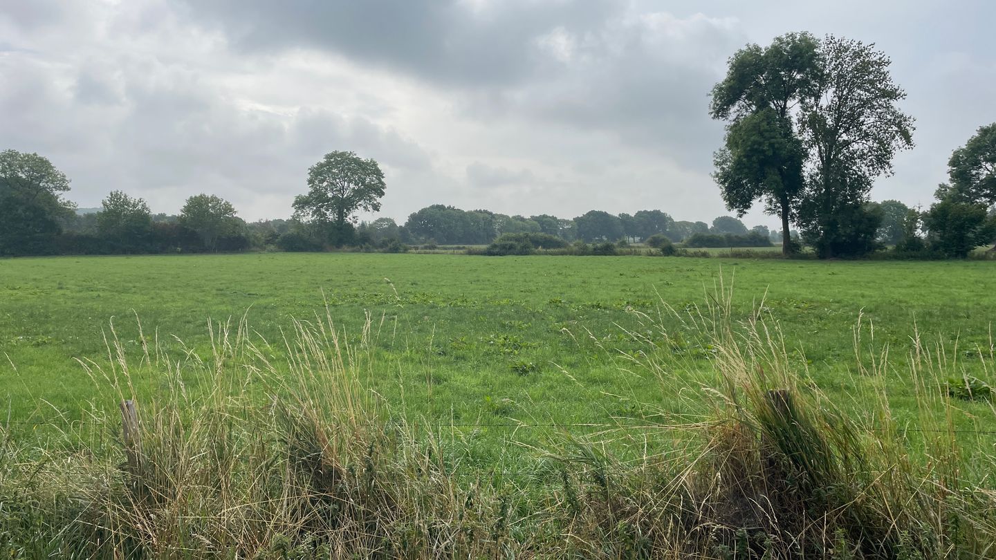 View photo 4 of Cuijksesteeg