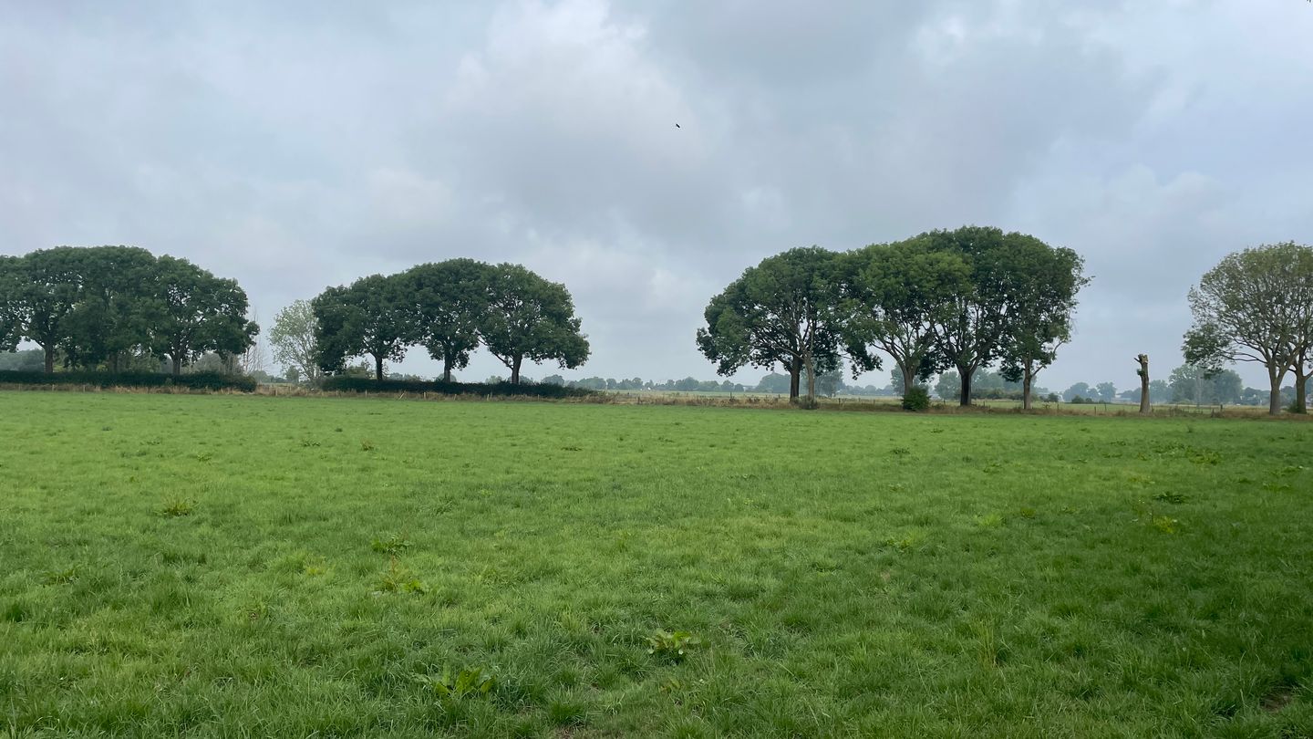 View photo 5 of Cuijksesteeg