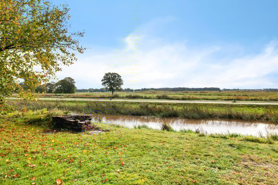 Foto 2 van Westdorperstraat 19