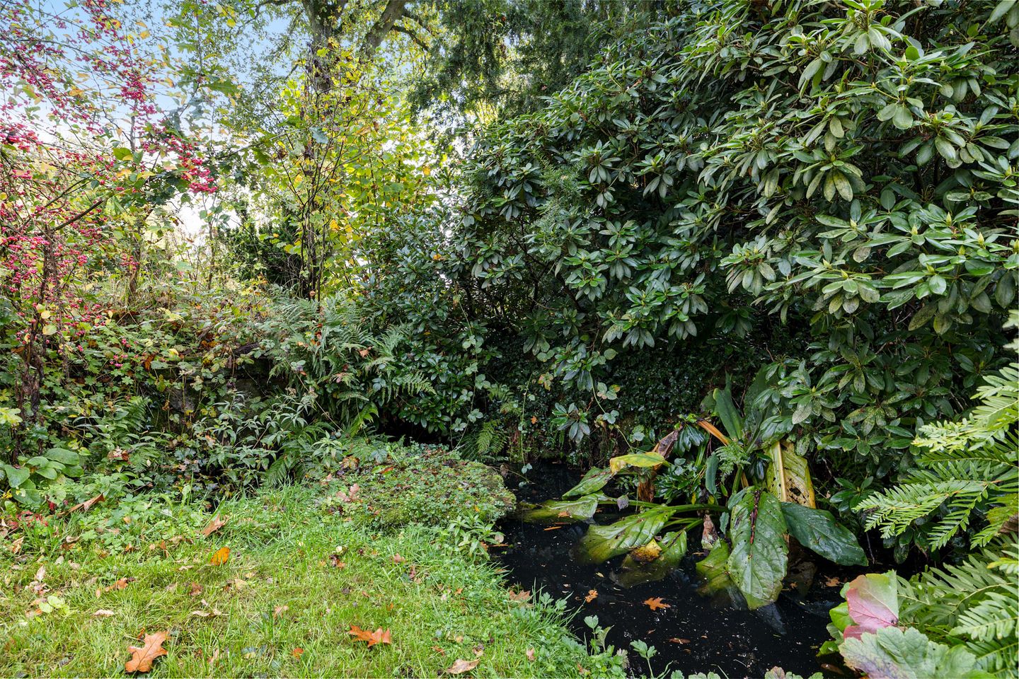 Foto 34 van Westdorperstraat 19