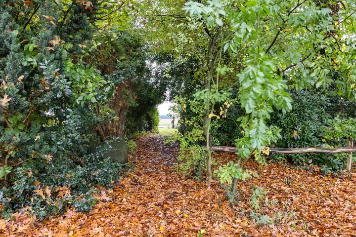 Foto 45 van Westdorperstraat 19