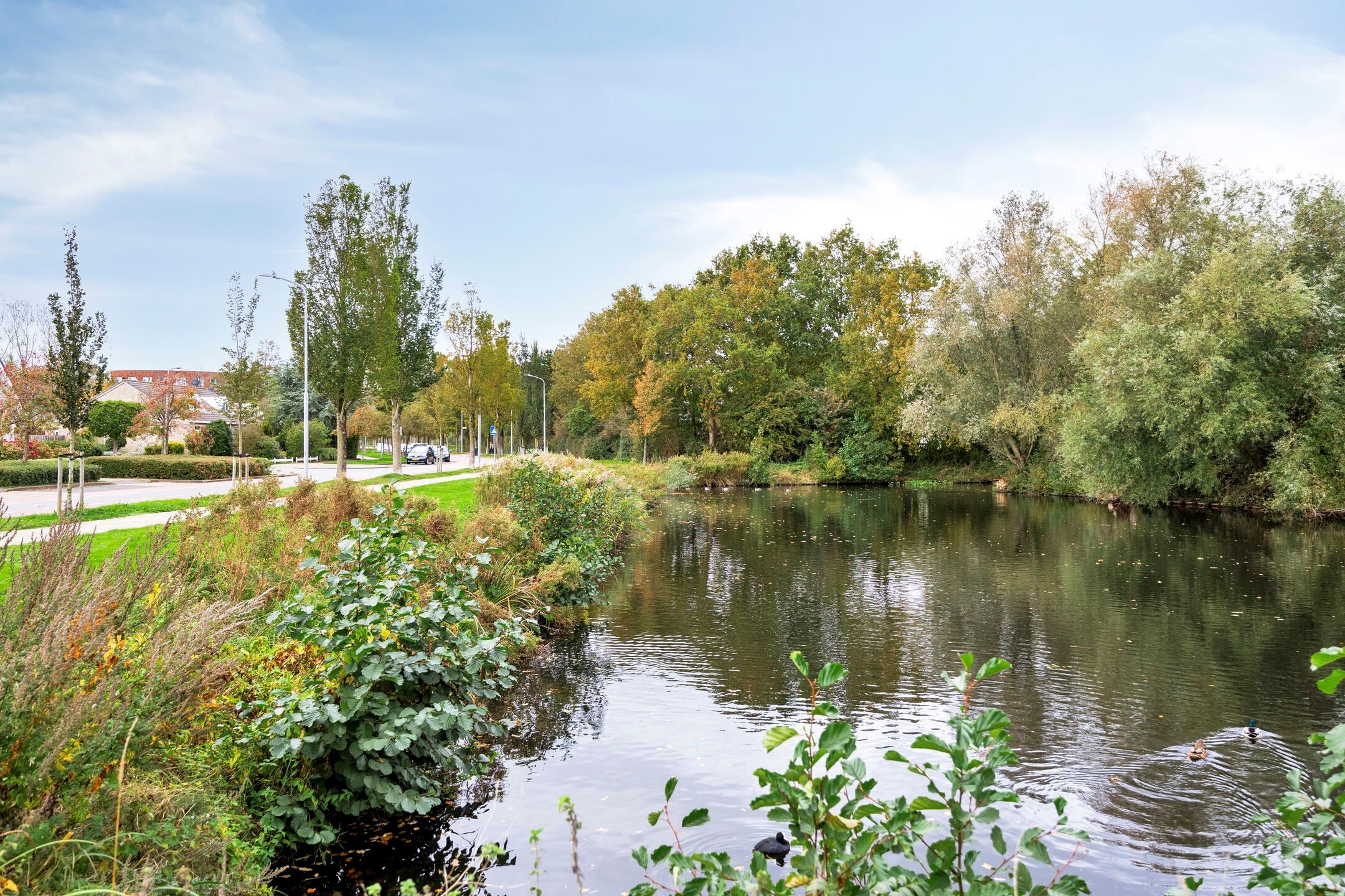 Foto 15 van Fien de la Marstraat 44