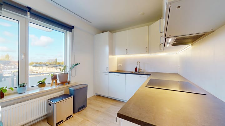 Photo 13 of Sint Camillusstraat 9