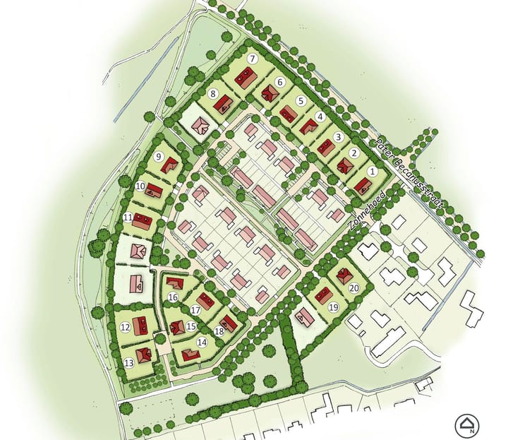 Photo 3 of Sleutelbloem 1