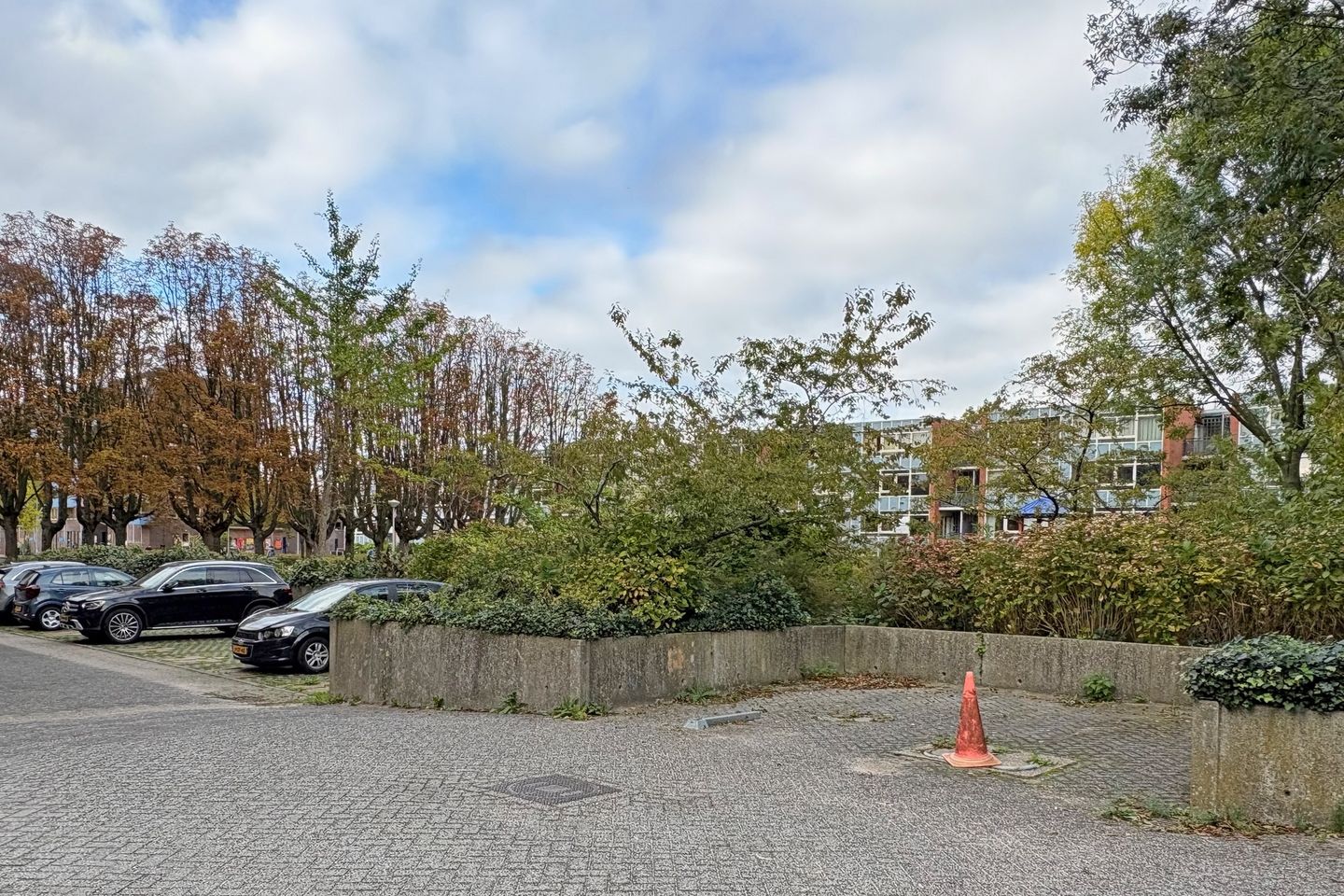 Foto 40 van Cornelis van Rijplantsoen 47