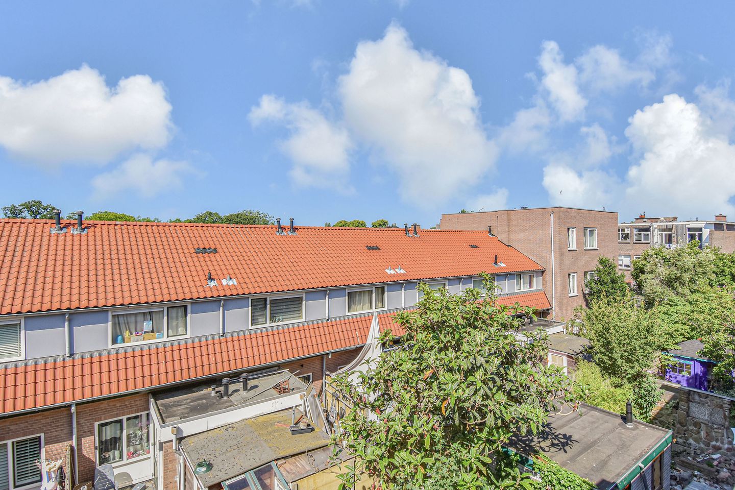 Photo 14 of Zuiderparklaan 81