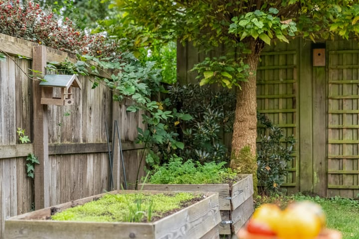 Foto 28 van Beereveld 2