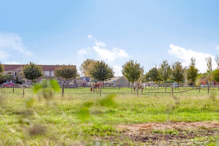 Foto 21 van Stroodorpe 45