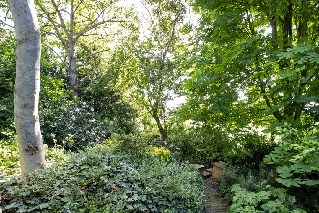 Foto 37 van Oudendijk 28