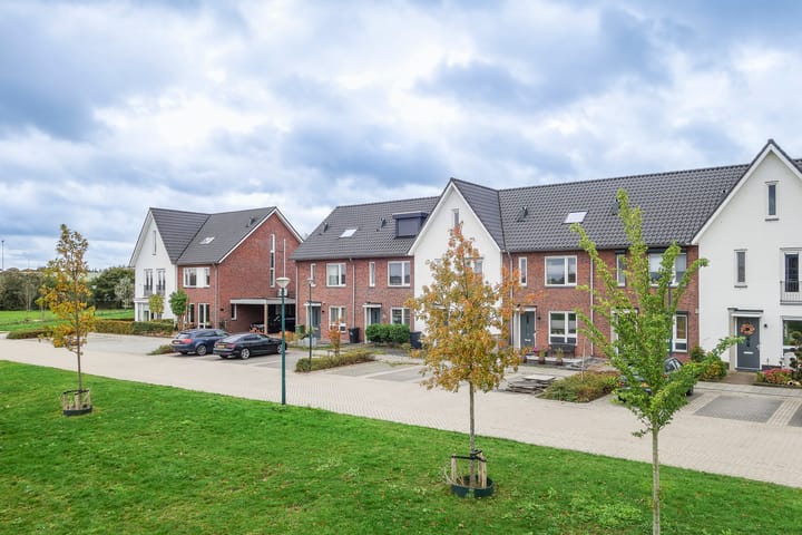 Foto 4 van Schutsboom 27