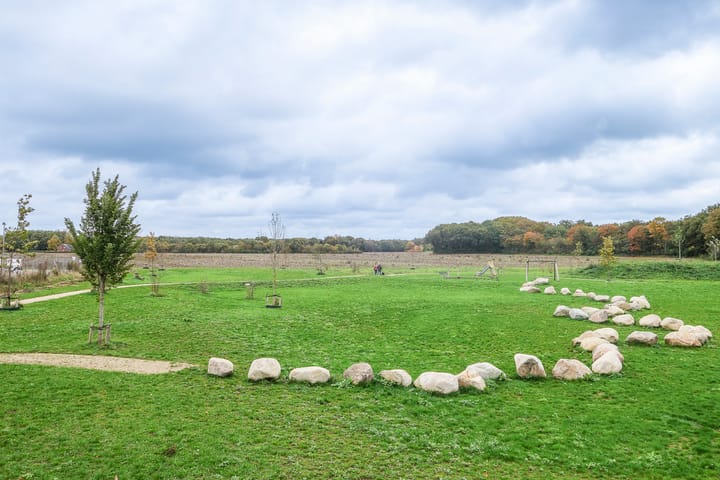 Foto 3 van Schutsboom 27