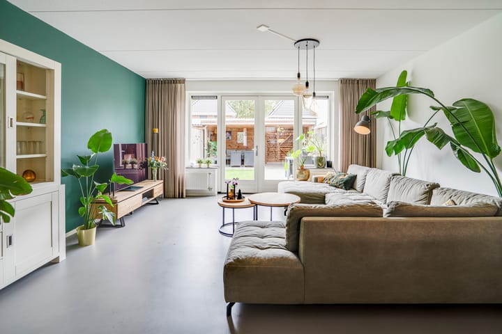 Foto 9 van Schutsboom 27