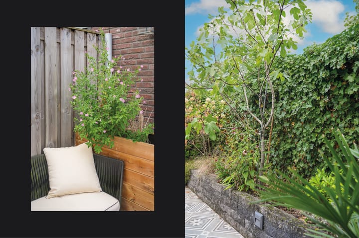 Foto 49 van Theo van Rijenlaan 31