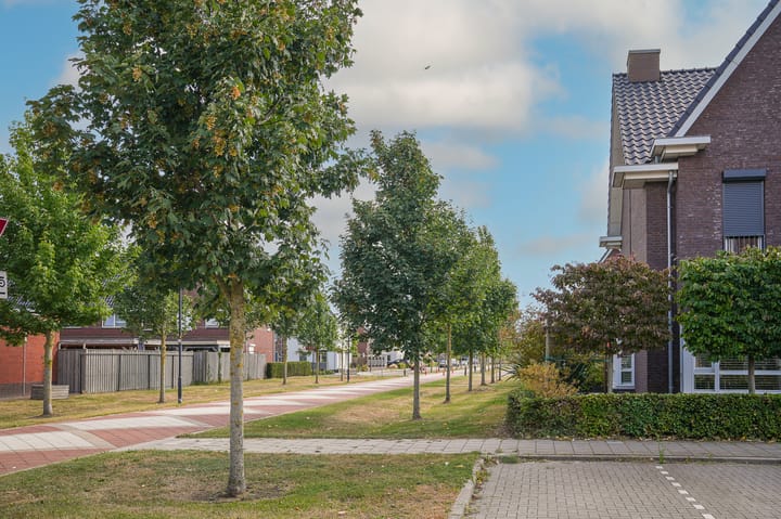 Foto 54 van Theo van Rijenlaan 31